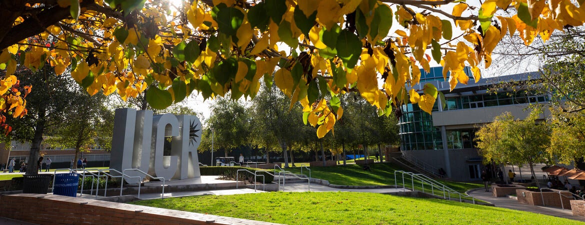 Fall trees on campus