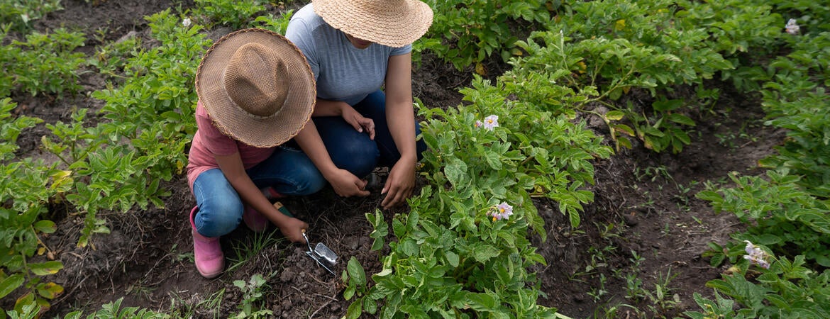 Mother and daughter harvesting the land