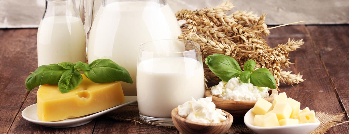 dairy and wheat beat cholera