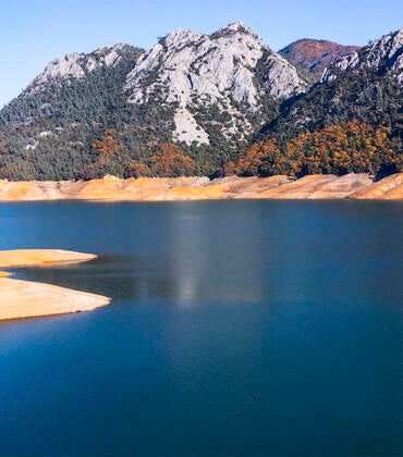 Lake Shasta
