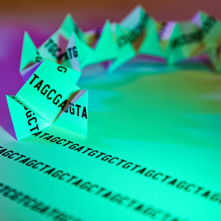 Base pairs of DNA fold themselves up into a spiral. Credit: Darryl Leja and Ernesto Del Aguila III, NHGRI