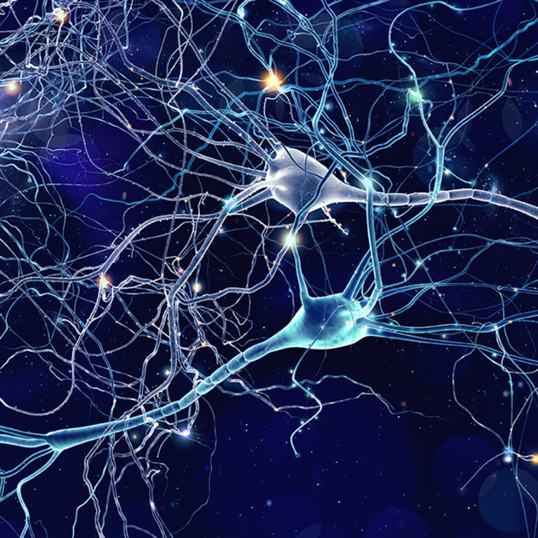 neurons