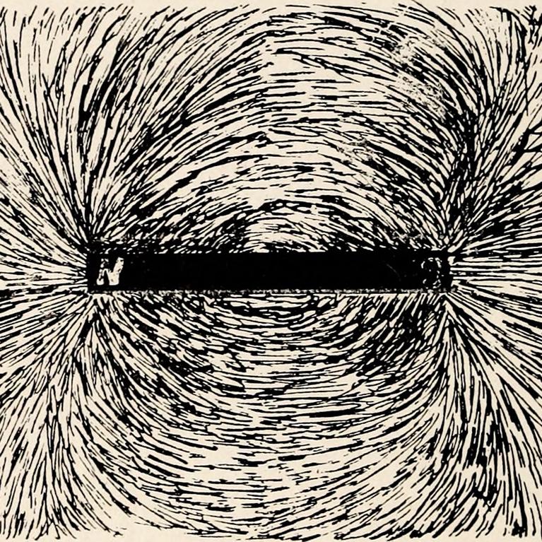 Iron fillings organized around the north and south poles of a magnet