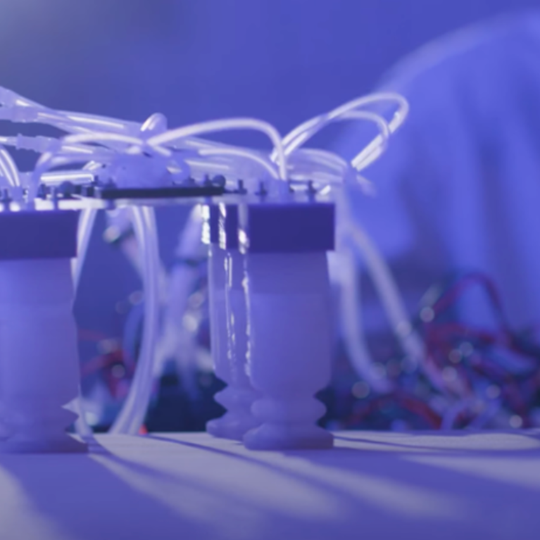 a soft robot made at UCR 