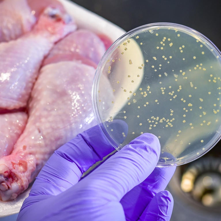 tryptophan bacteria