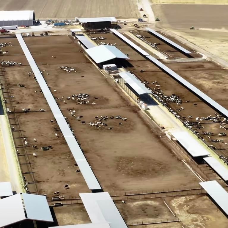 An aerial view of a dairy farm in Southern California