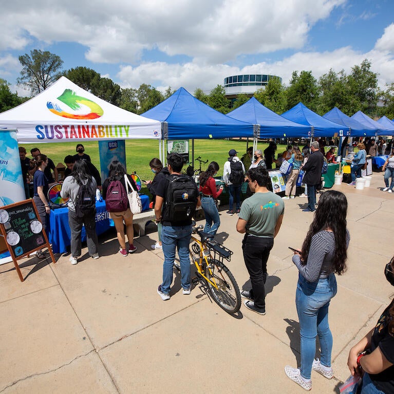 Sustainability fair