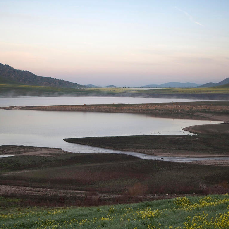 Lake Success in 2015