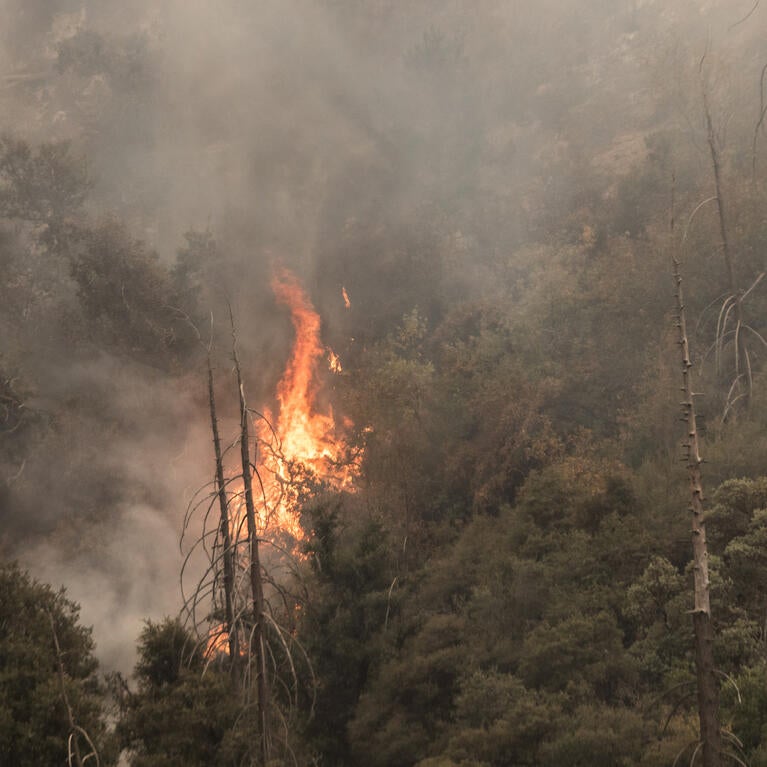 Yucaipa wildfire