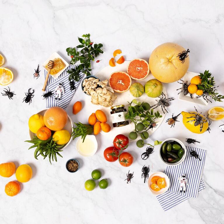 UCR Magazine Summer 2024 cover