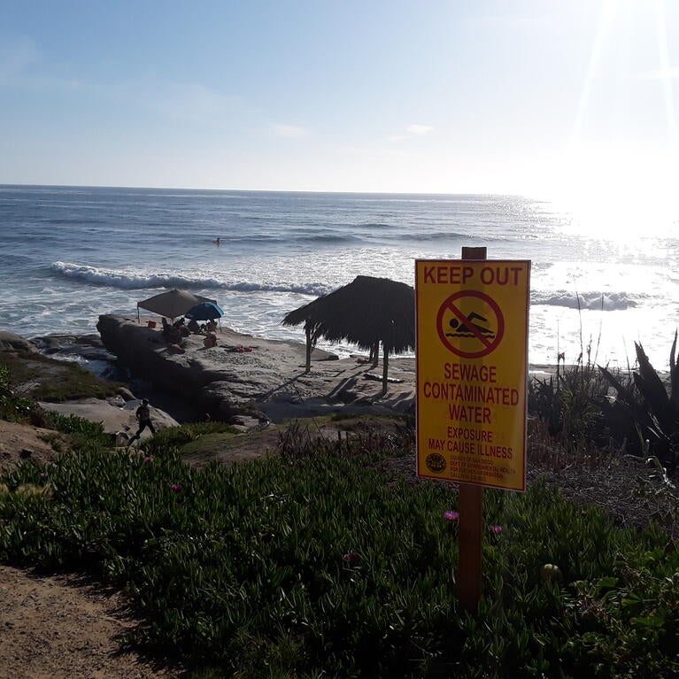A beach
