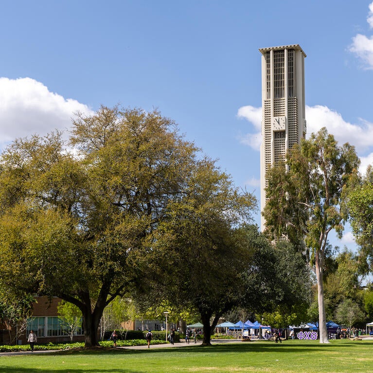 Pierce Lawn on campus