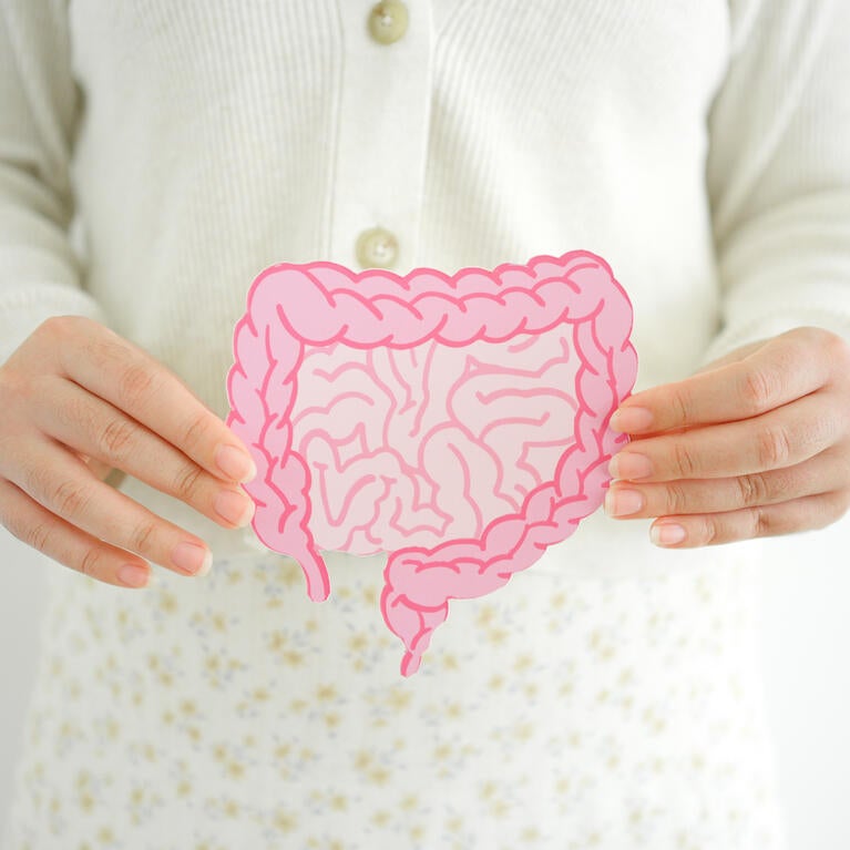 Hands holding gut image