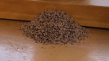 pile of termite pellets