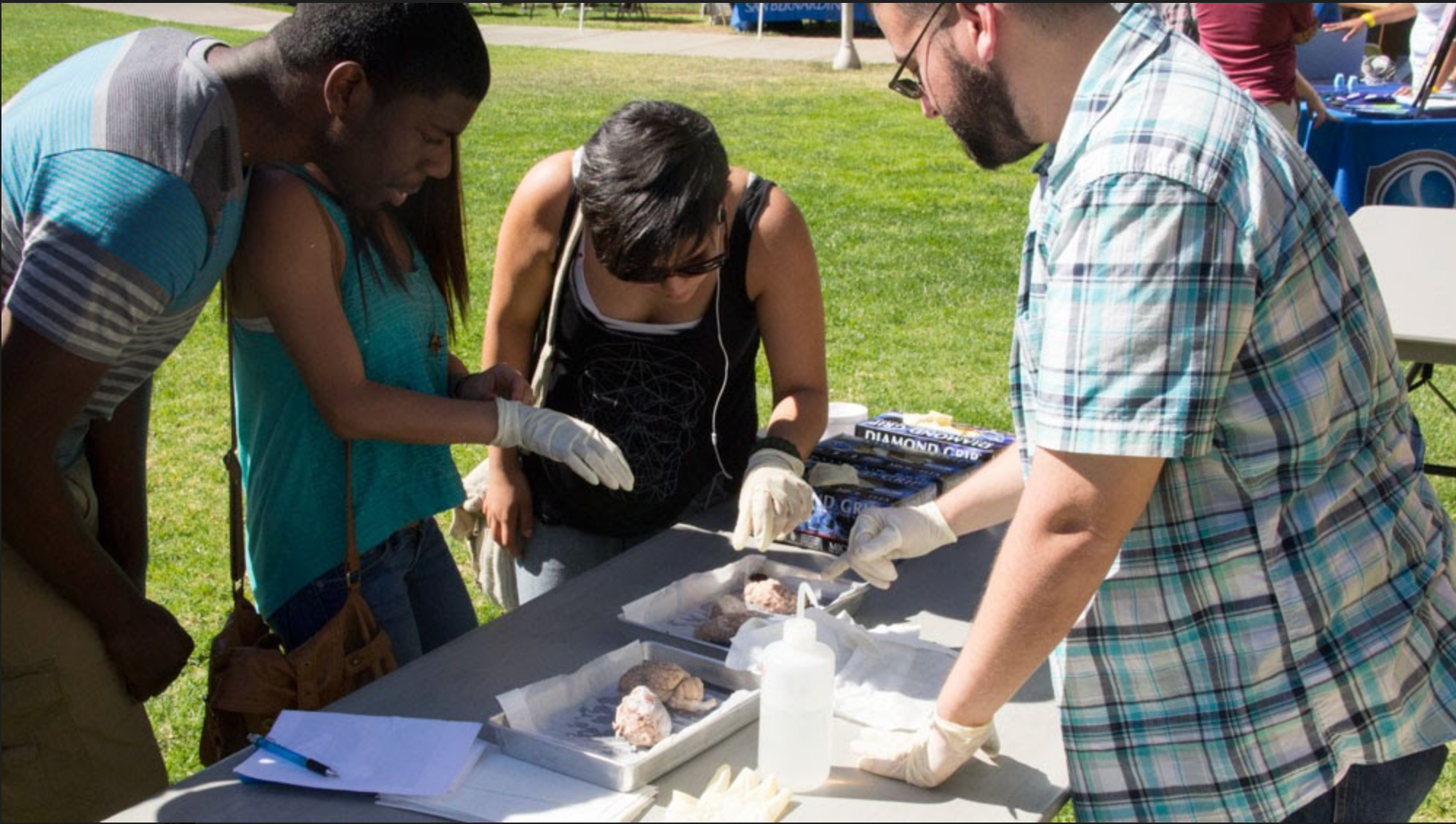 2013 Brain Awareness Day