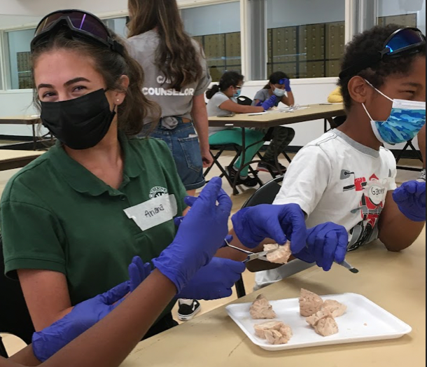 Neuroscience Mastermind Event