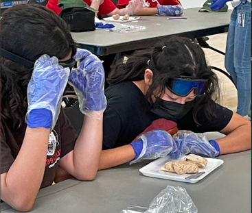 3/22 Camp Highlander: NM 2