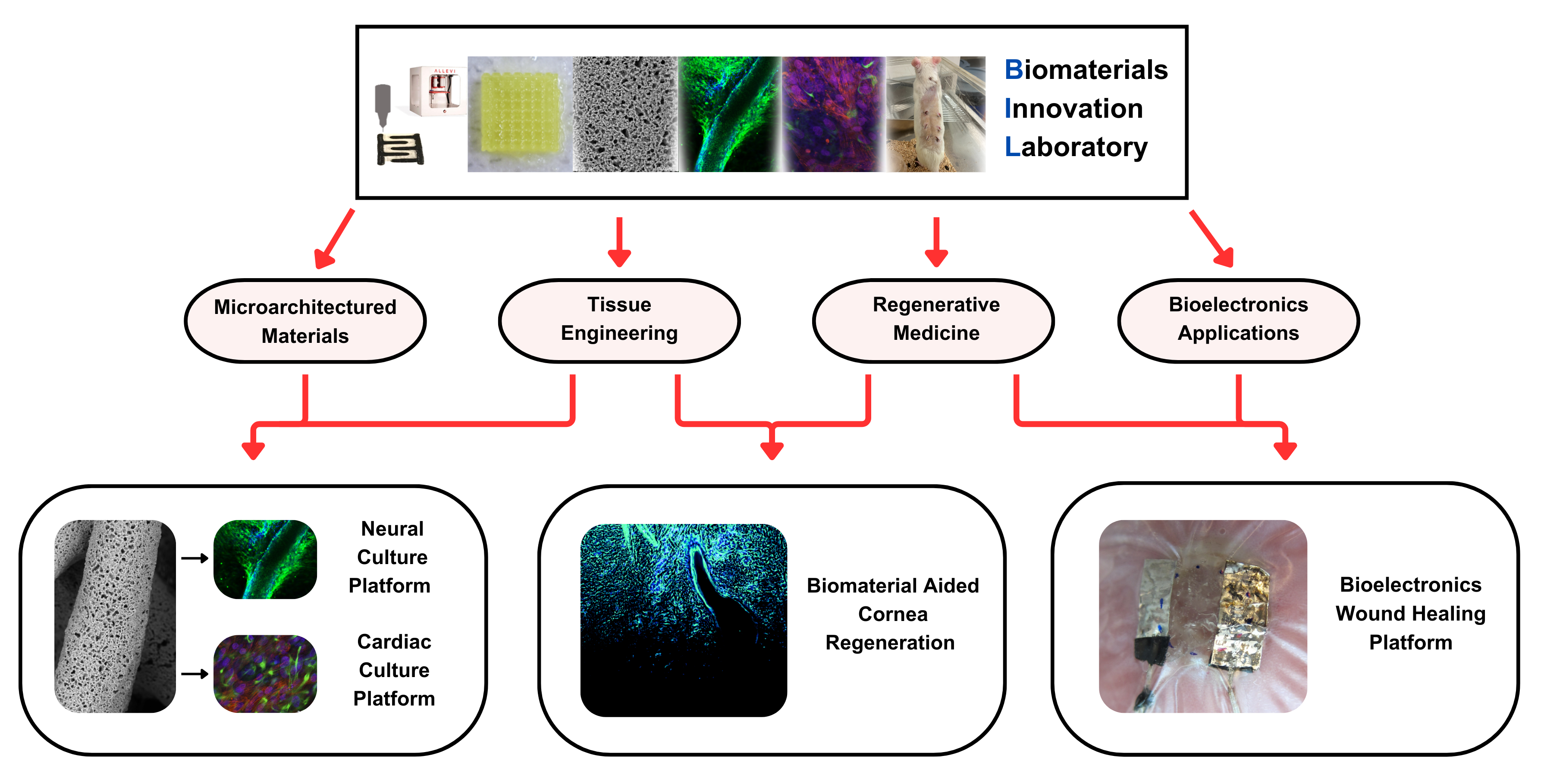 Labflowchart