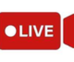 Live Stream