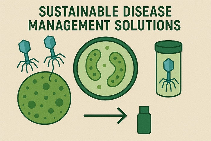 Sustainable disease management solutions graphic