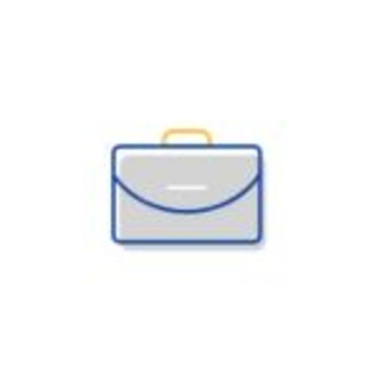 Professional briefcase icon