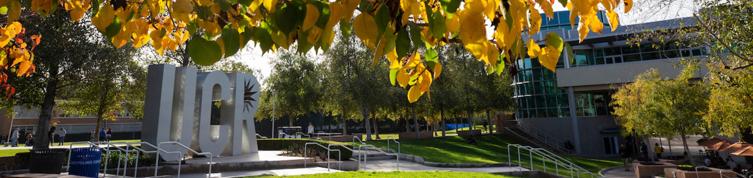 UC Riverside Logo Sign and Trees