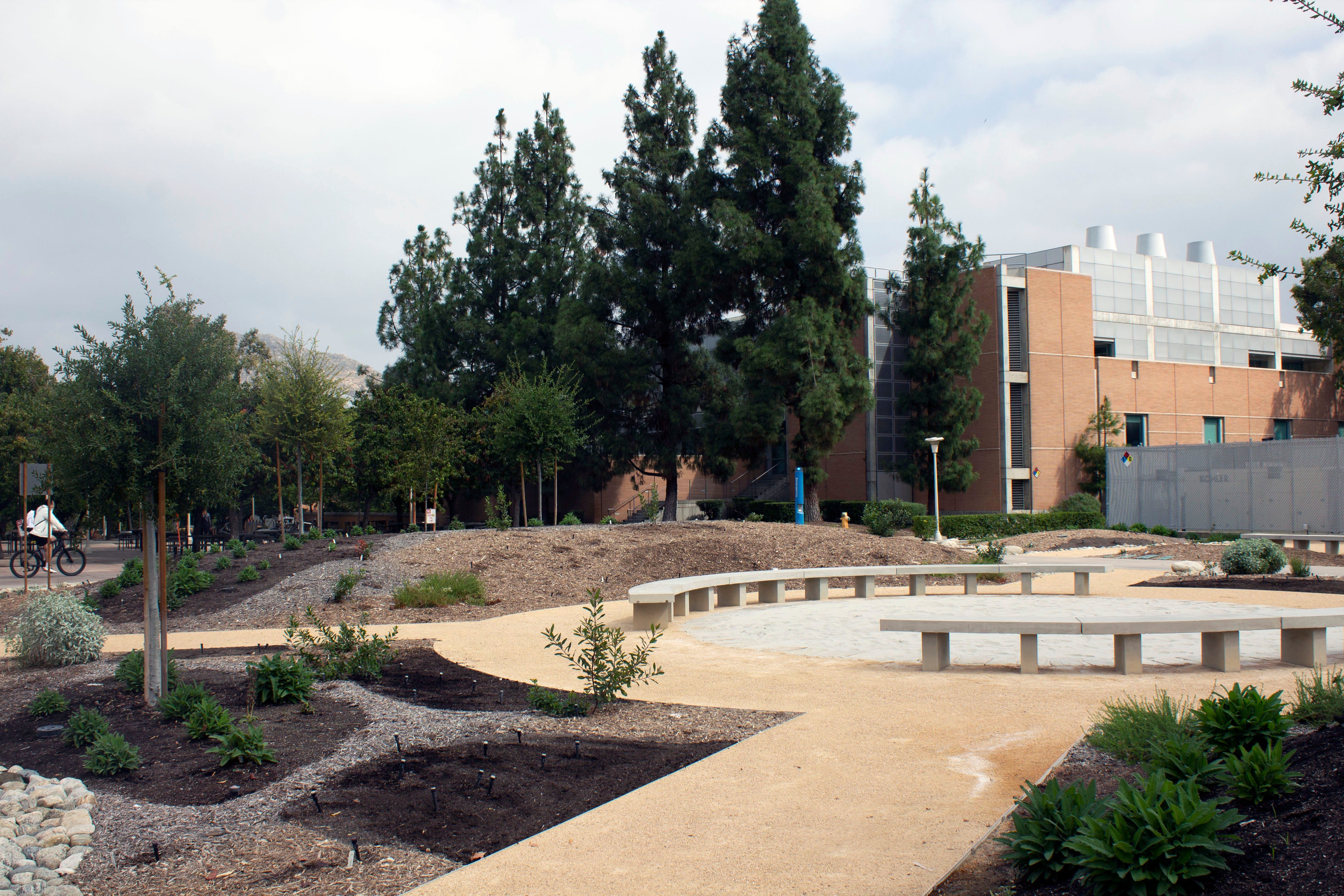 NativeAmericanGarden7