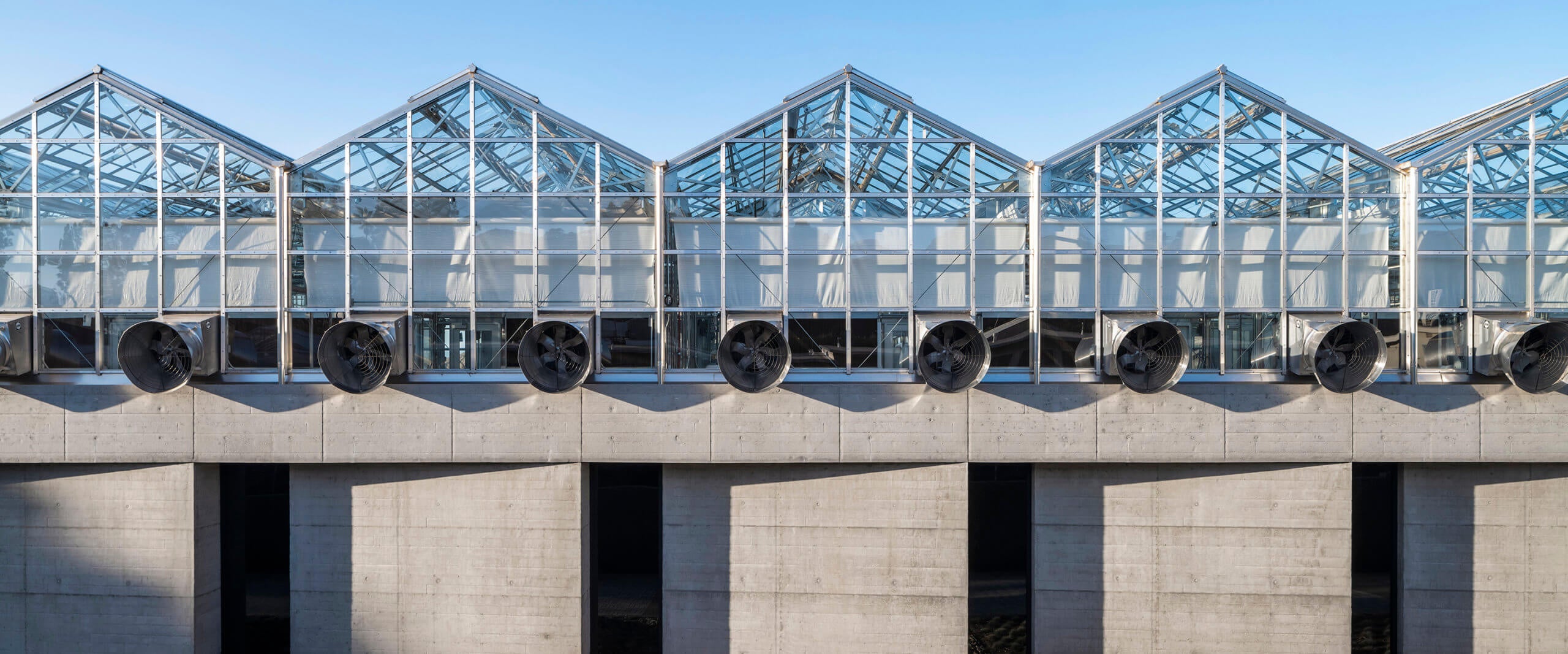 exterior of greenhouses