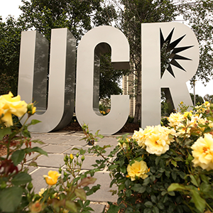 charitable remainder trust