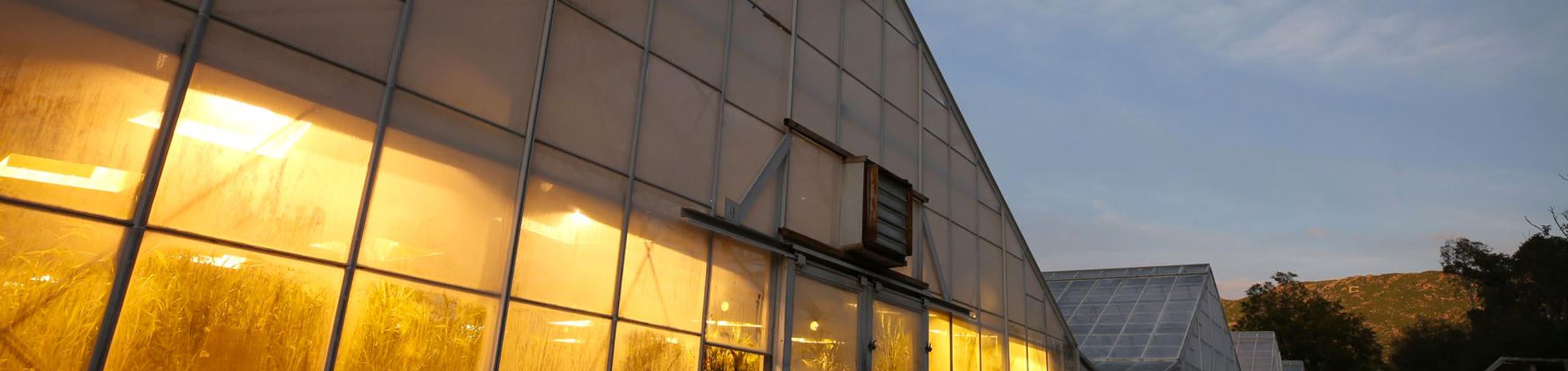 Greenhouse With Light