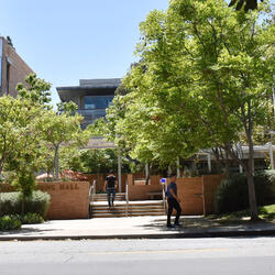 faculty