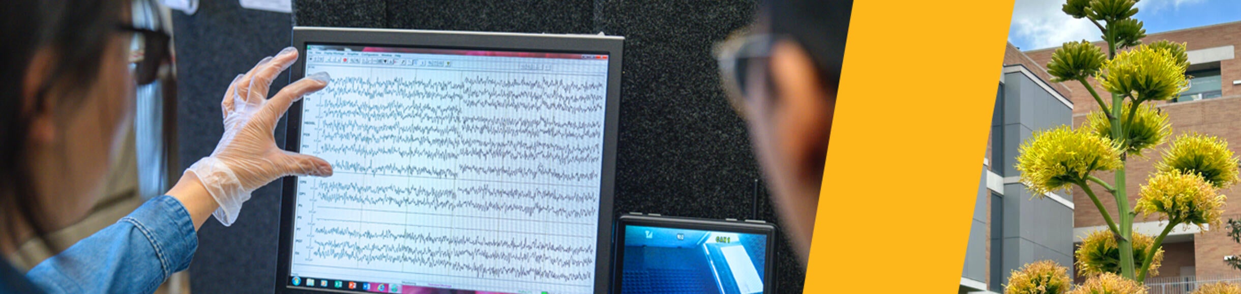 Behavioral Neuroscience Header Image