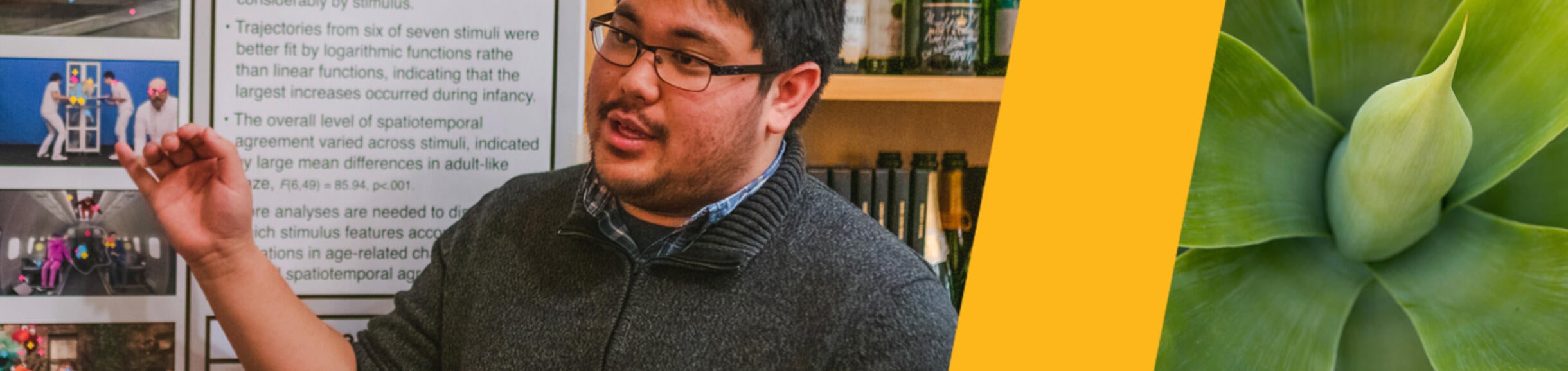 DEI: Organizations Header Image