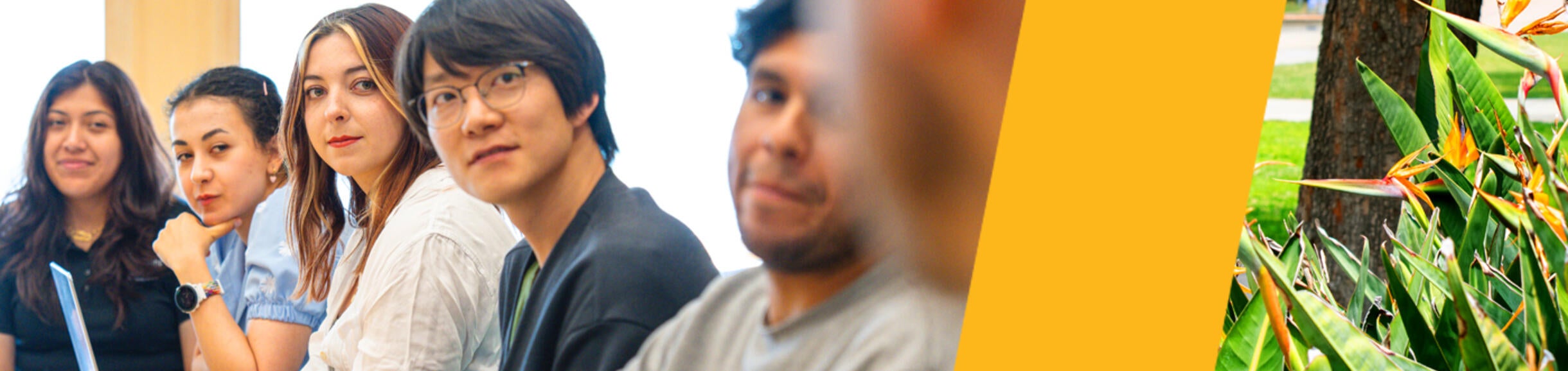 DEI: Professional Development Header Image