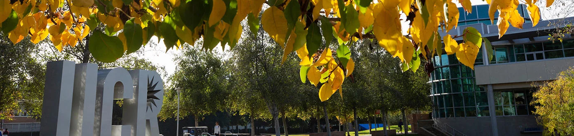 ucr sign and fall leaves