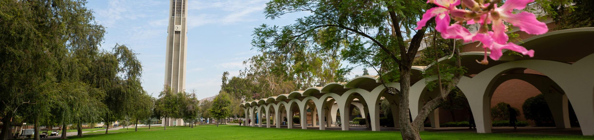 Bell tower with view of Rivera lawn and arches