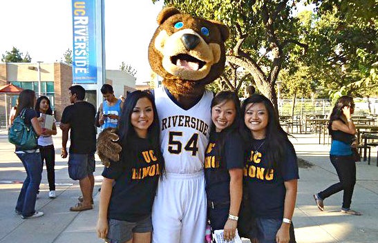 APSP – Our Programs