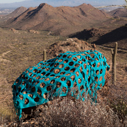 Joshua_West_Smith_Thumbnail