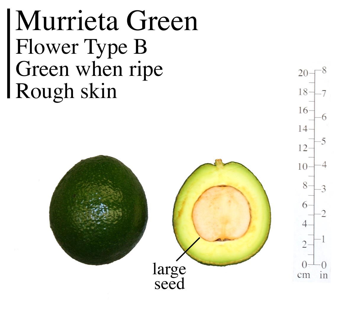 Murrieta Green