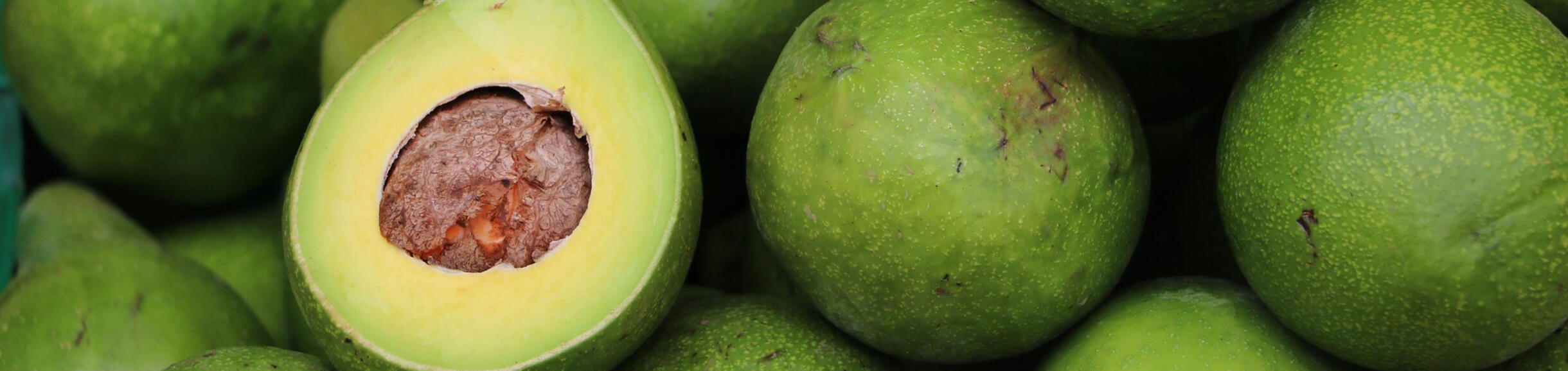 sliced avocado on top of whole avocados