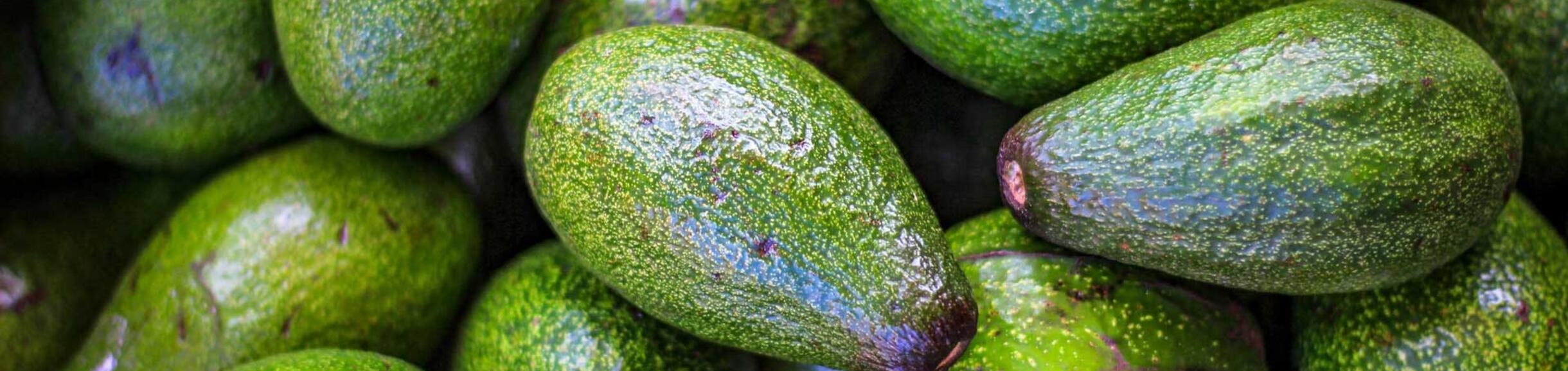 avocados (c) Hitoshi Namura unsplash