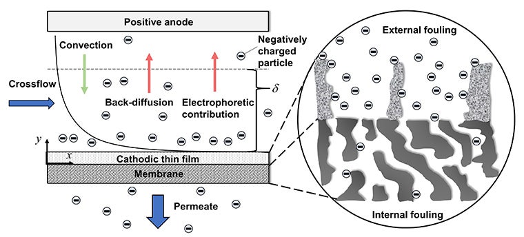 EUF w fouling schematic
