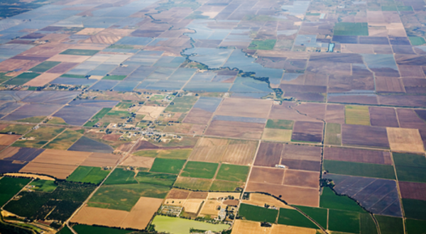 An aerial of farm land and housing