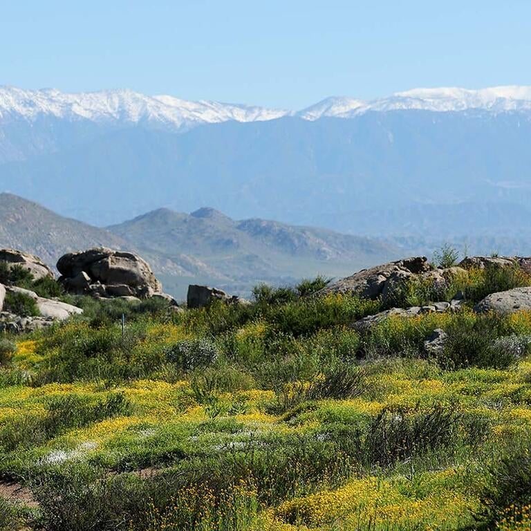 UCR Natural Reserves Motte Rimrock panorama (c) UCR / Stan Lim