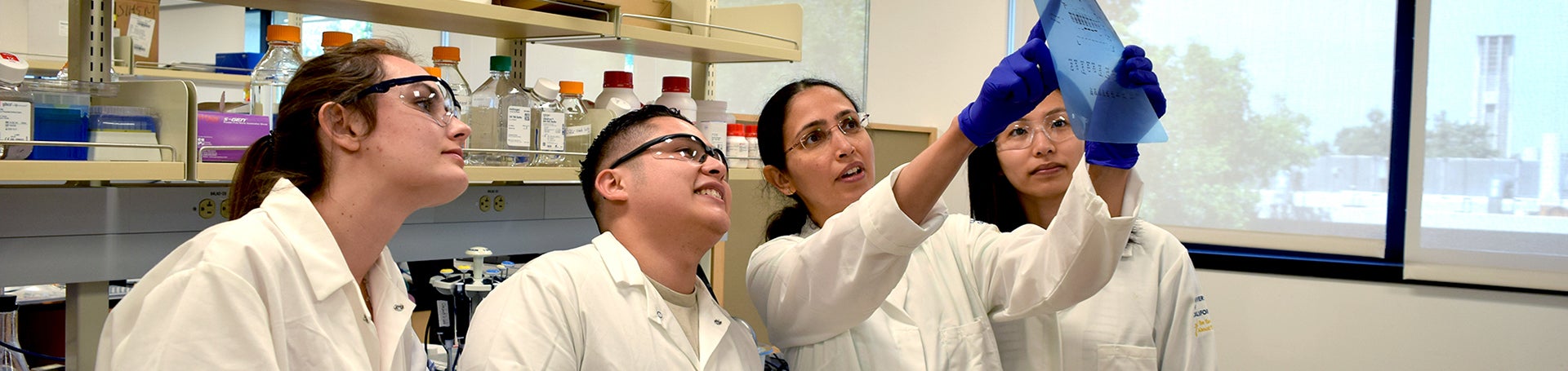 Cheloufi Lab (c) UCR/CNAS