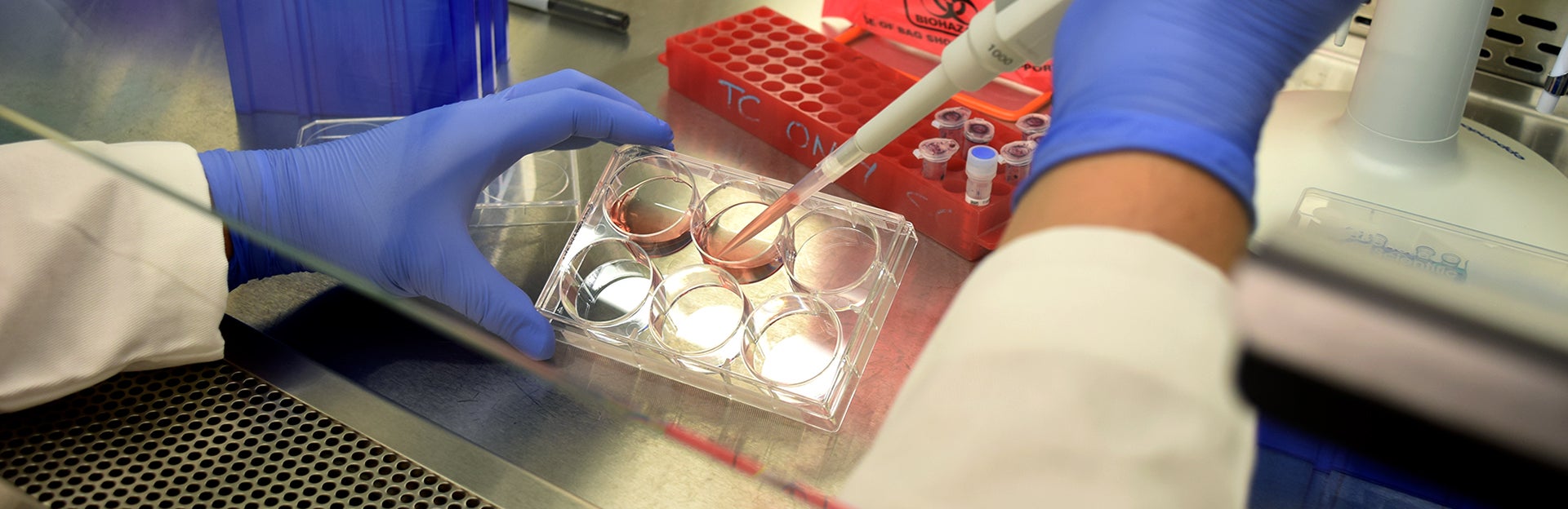 experiment in hood (c) UCR/CNAS