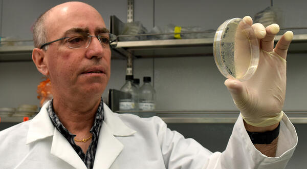 Ernest Martinez lab plate (c) UCR/CNAS