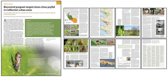 biocontrol_program_targets_acp_collage.jpg