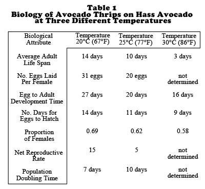 biology_avocado_thrips_hass_avocado_three_temperatures_small.jpg