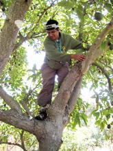 Jesus R. Lara Artiga